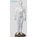 Acupuncture Human Model (AM50M)